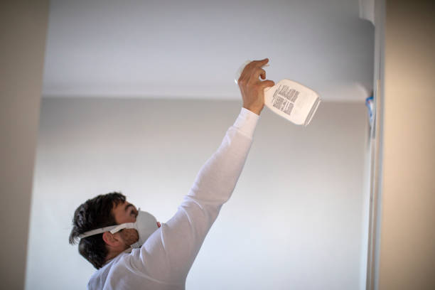  East Speer, NC Mold Removal Pros